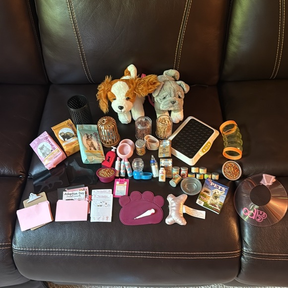 Our generation veterinary set.  Plus a few pieces from other pet sets. - Picture 1 of 8